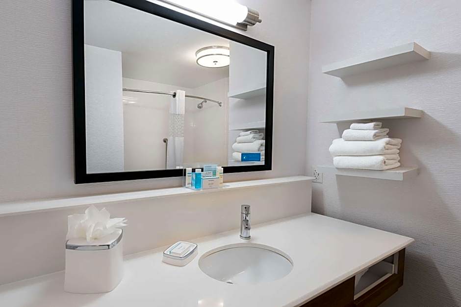 Hampton Inn By Hilton & Suites San Antonio Brooks City Base, TX