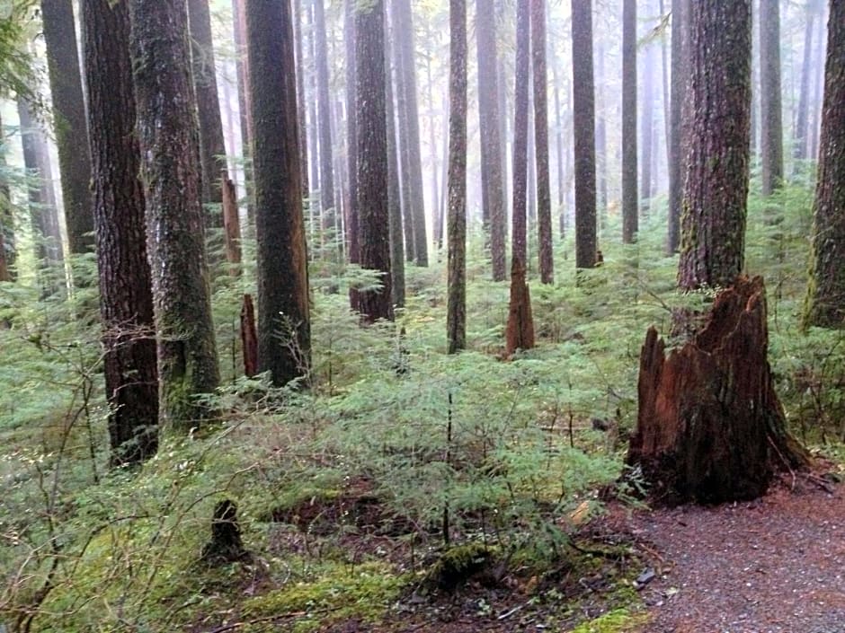 Super 8 by Wyndham Port Angeles at Olympic National Park