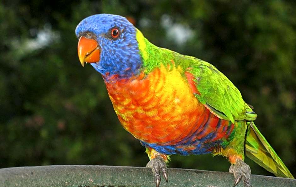 Edgewater Holiday Park