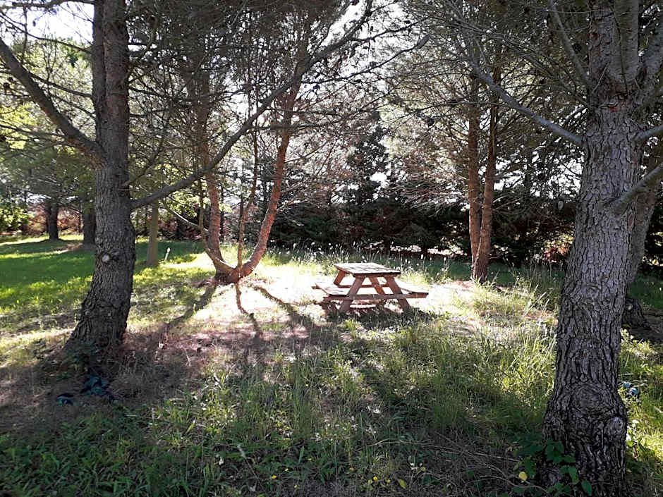 Paradis des Outardes