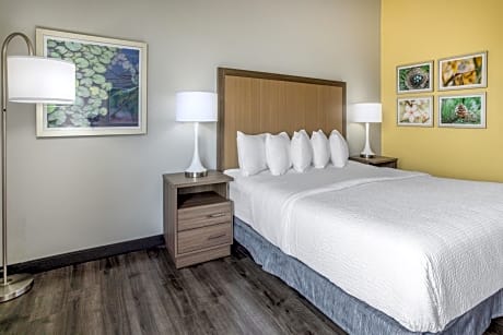 2 Queen Beds Studio Suite Non-Smoking