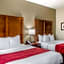 Comfort Inn & Suites Covington - Mandeville