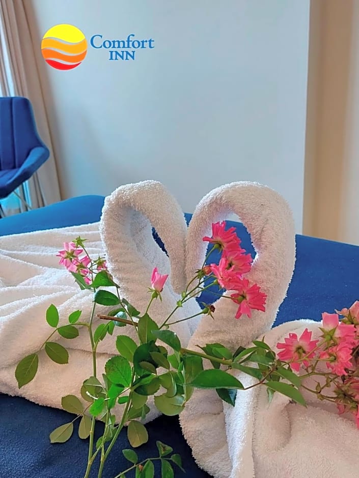 Comfort Inn ☆ Orbi City