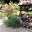 Chez Domi Jardin du bourg