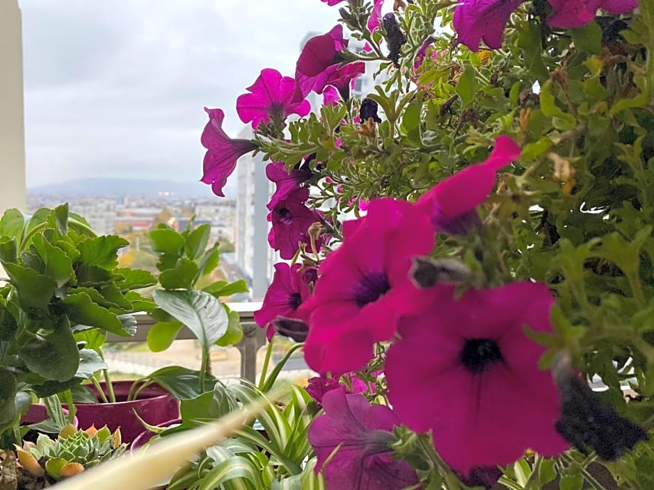 Les Meublés les Dômes du Parc