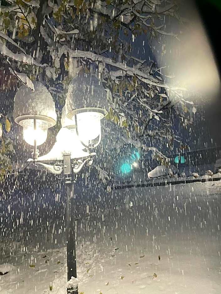 La Vigne de Papagran