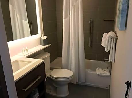 1 King Two Room Suite