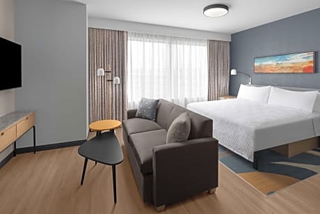 1 King Bed Studio Suite