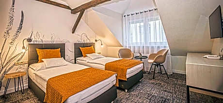 Double or Twin Room with Private Bathroom