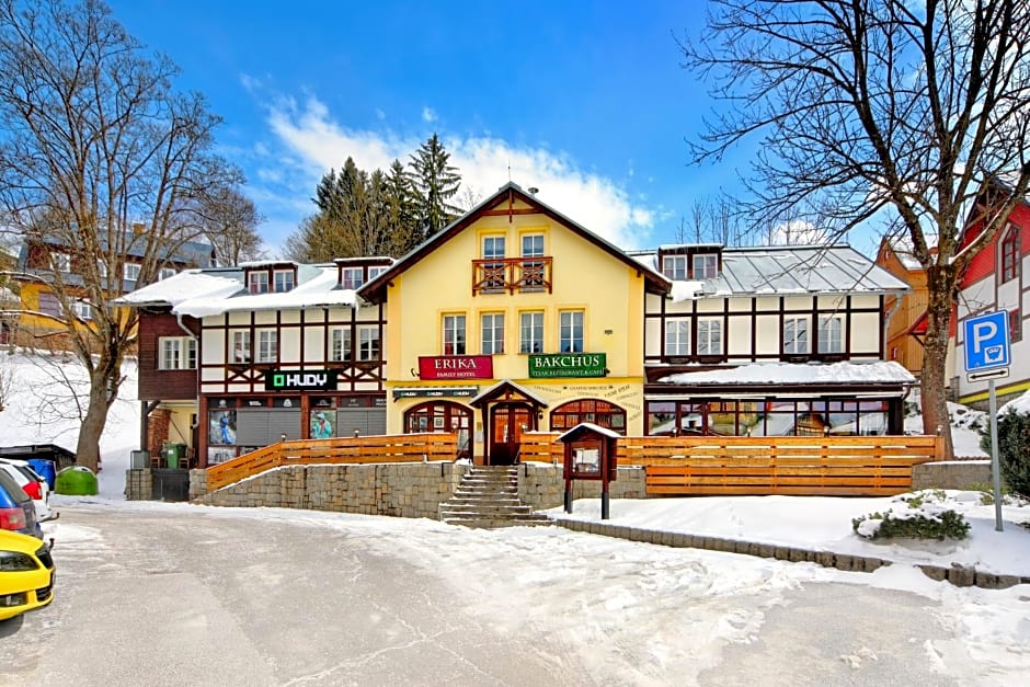 Hotel Erika