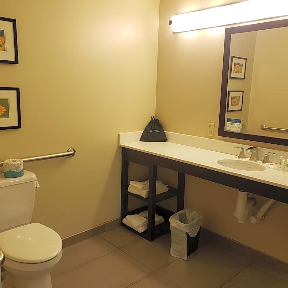 Comfort Suites Youngstown North