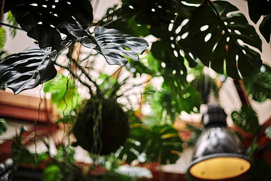 The Legacy by 2GO4 City Center