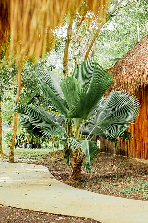 Mayan Playa Bacalar