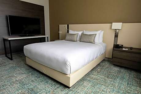 Family, 1 Bedroom Larger Suite, 1 King, Sofa bed