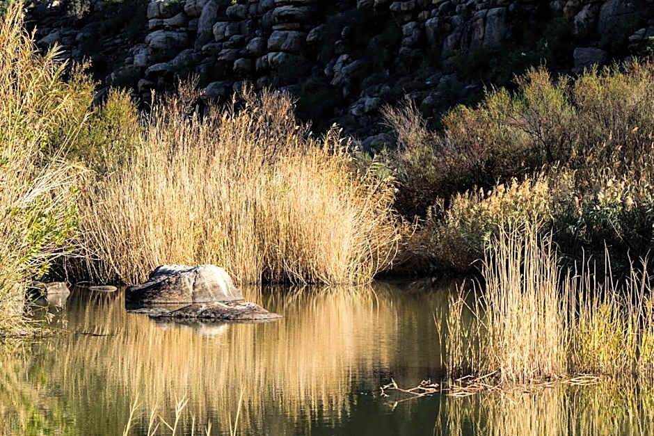 Oudrif Strawbale Retreat
