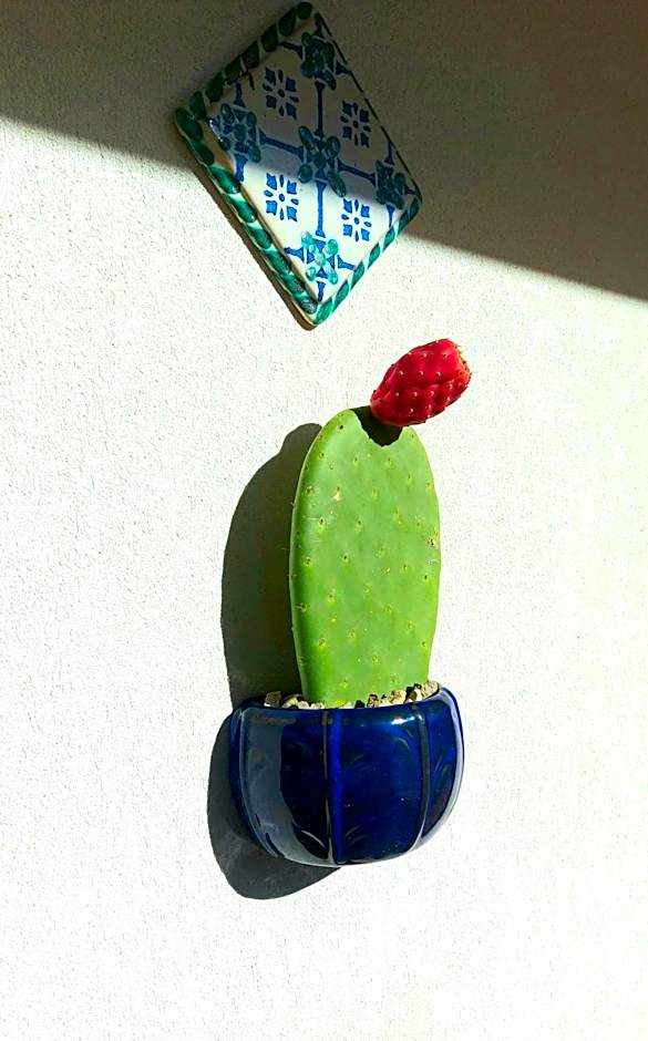 VFH Villa Flavia Eco B&B - 50 metri dal mare