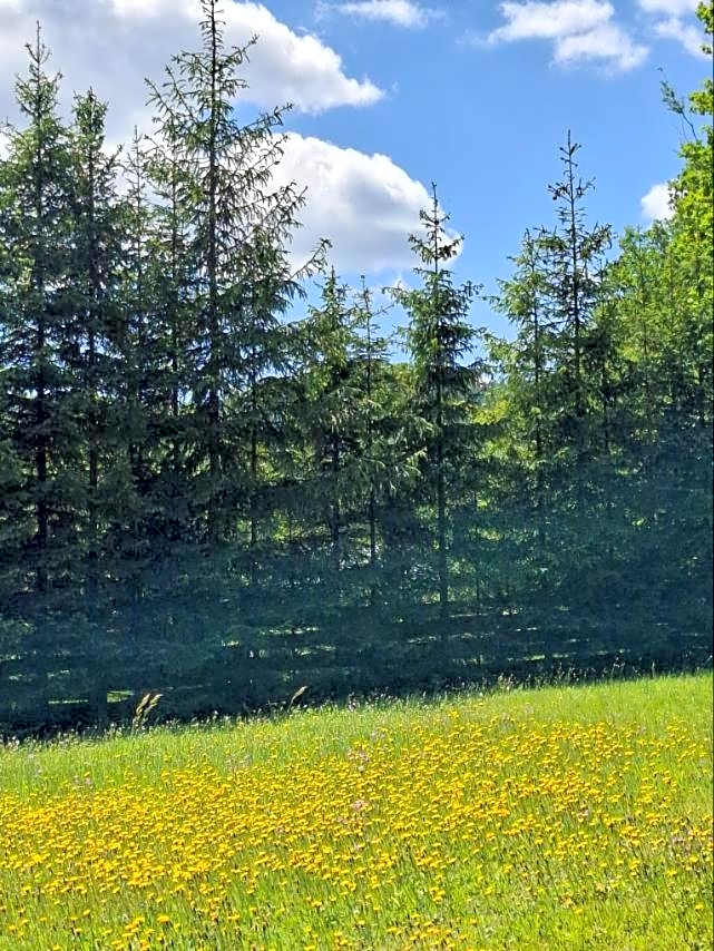 Domek Góralski Beskid Sądecki