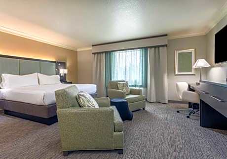Executive King Room - Non-Smoking