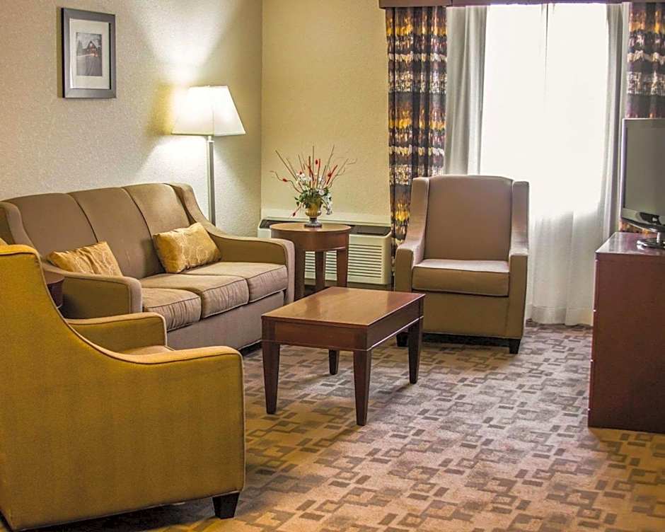 Comfort Inn Birch Run - Frankenmuth