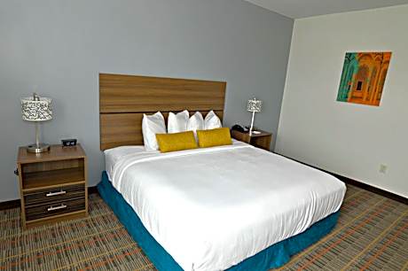 King Suite with Roll-In Shower, Sofa Bed, Kitchenette and Separate Living Area - Disability/Non-Smoking