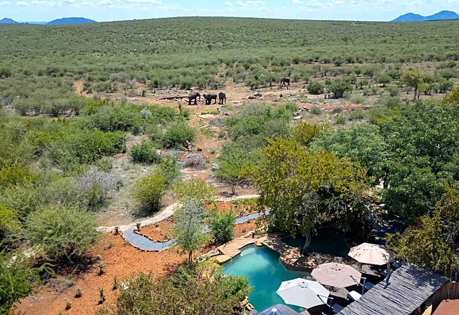 Rhulani Safari Lodge - All Inclusive
