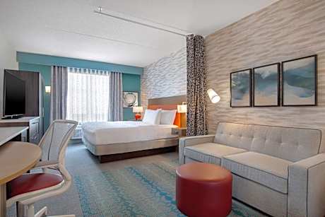 1 King Bed Studio Suite