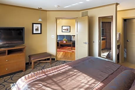 Junior Suite with Terrace