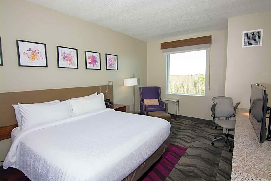 Hilton Garden Inn Tampa Suncoast Parkway
