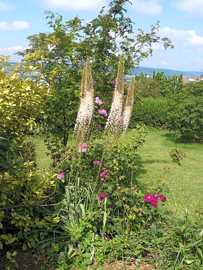 Maison d'hotes Sainte Genevieve