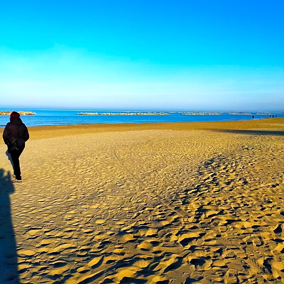 Il Cavalluccio Marino