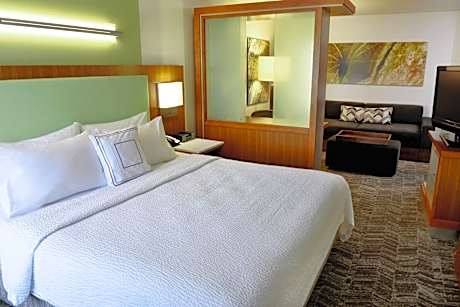 King Room with Sofa Bed