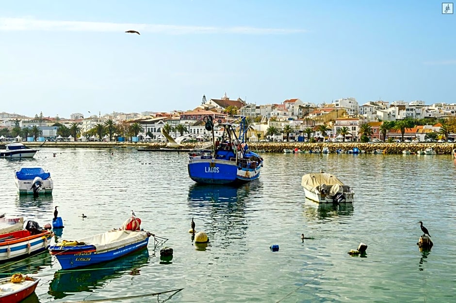 Hostel Vasco Da Gama