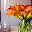 Four Seasons Hotel Atlanta