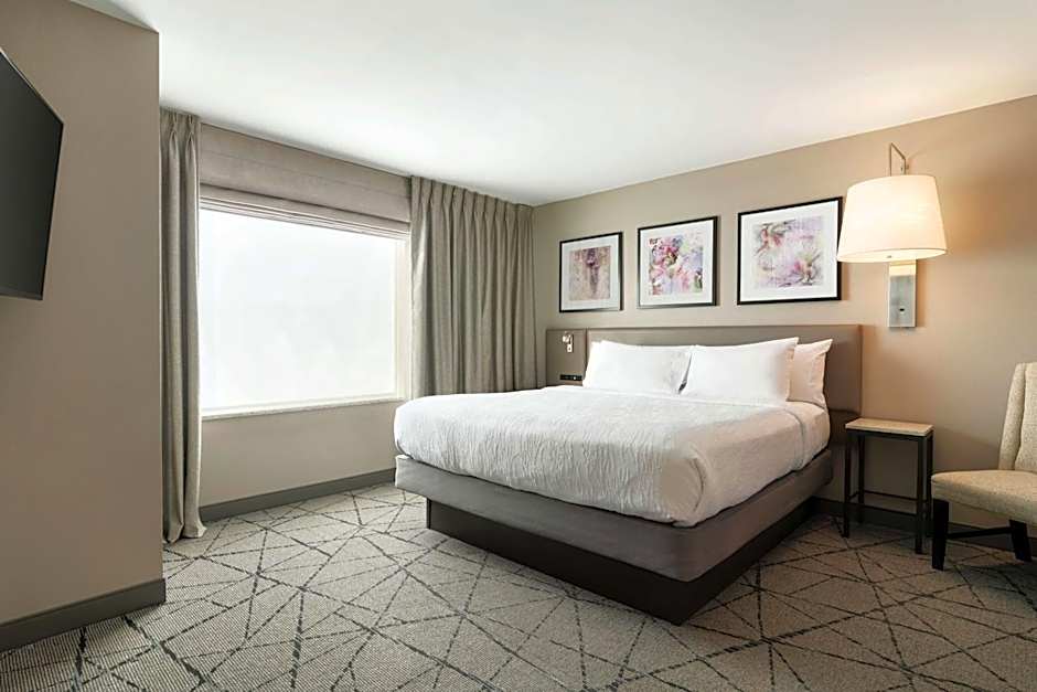 Hilton Garden Inn Springfield