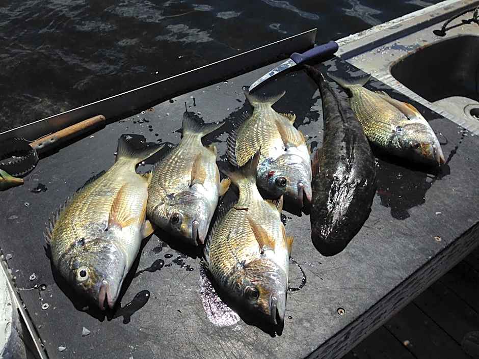 Laguna lodge Group Accommodation