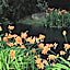 La Finestra sul Fiume