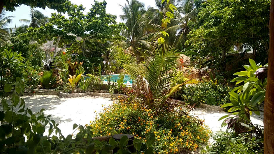 Mustapha' s Place