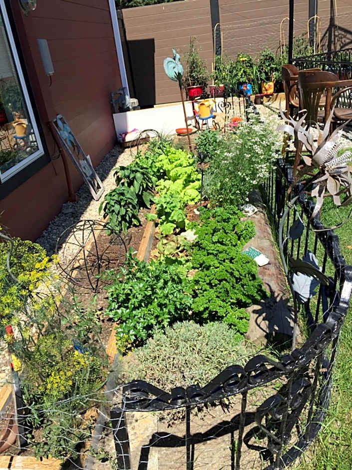 The Calgary Hub hostel style Home