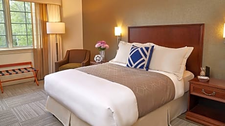 Queen Room with Accessible Shower - Disability Access