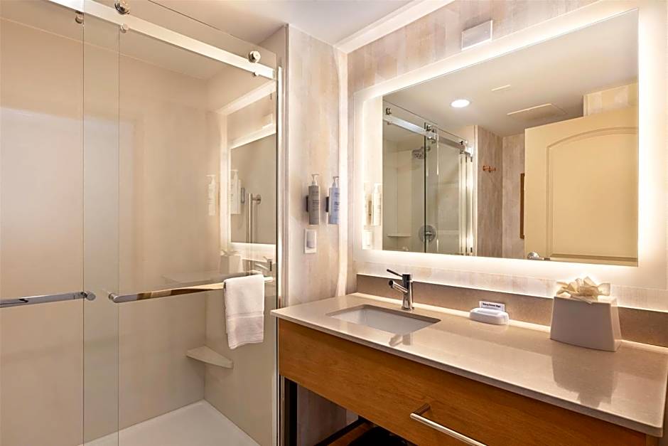 Hampton Inn By Hilton Lawrenceville Duluth