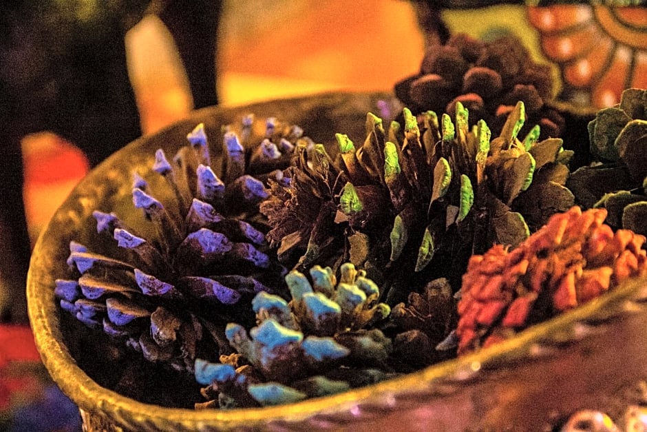 Posada Margaritas