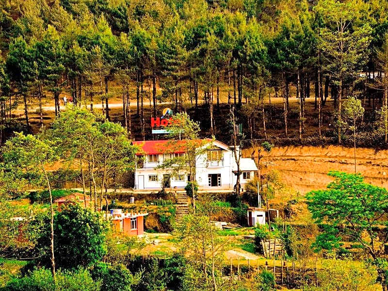 Mount Paradise Nature Stay
