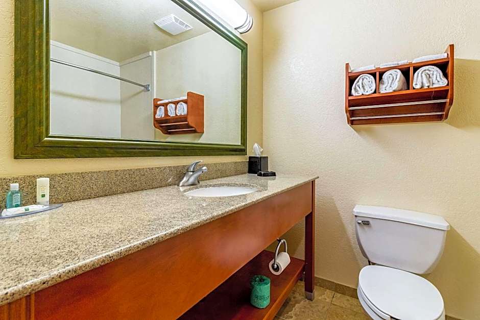 Quality Inn Texas City I-45