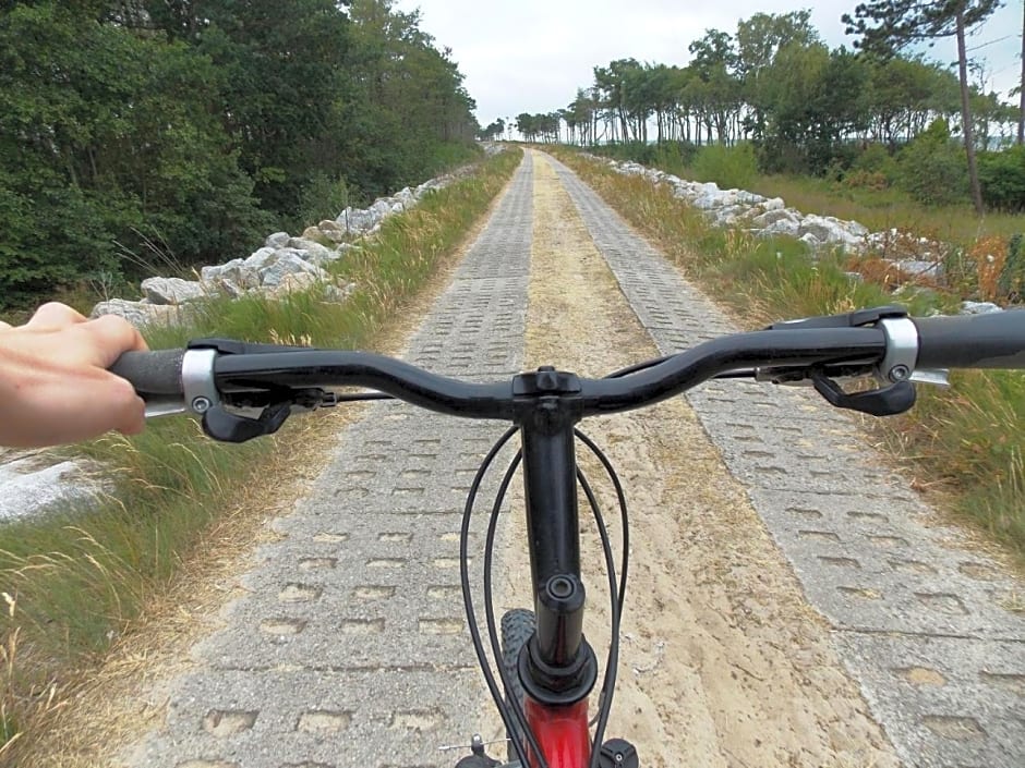 Pokoje goscinne Neptunia