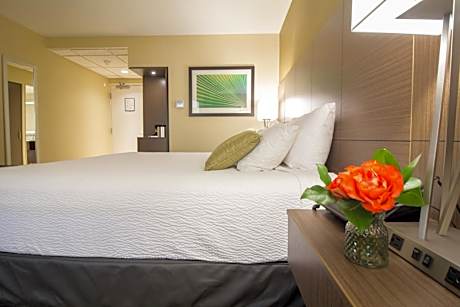 Premier Room, 1 King Bed