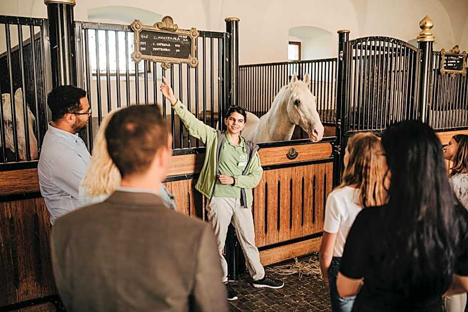 Hotel Maestoso - Lipica