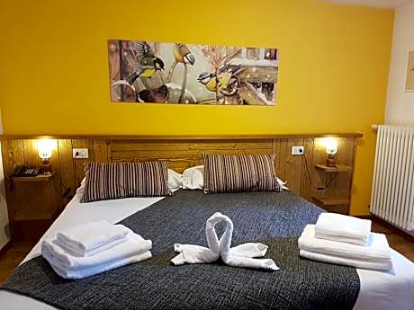 Double or Twin Room