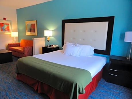 Suite King Bed Non Smoking