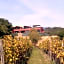 Buonamico Wine Resort