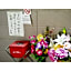 Petit Hotel Koizumi - Vacation STAY 85672v